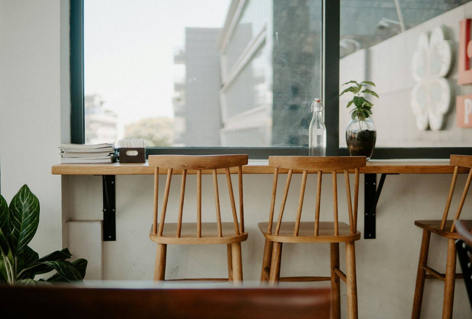 Barra junto a la ventana con banquetas de madera y plantas, a la luz del día